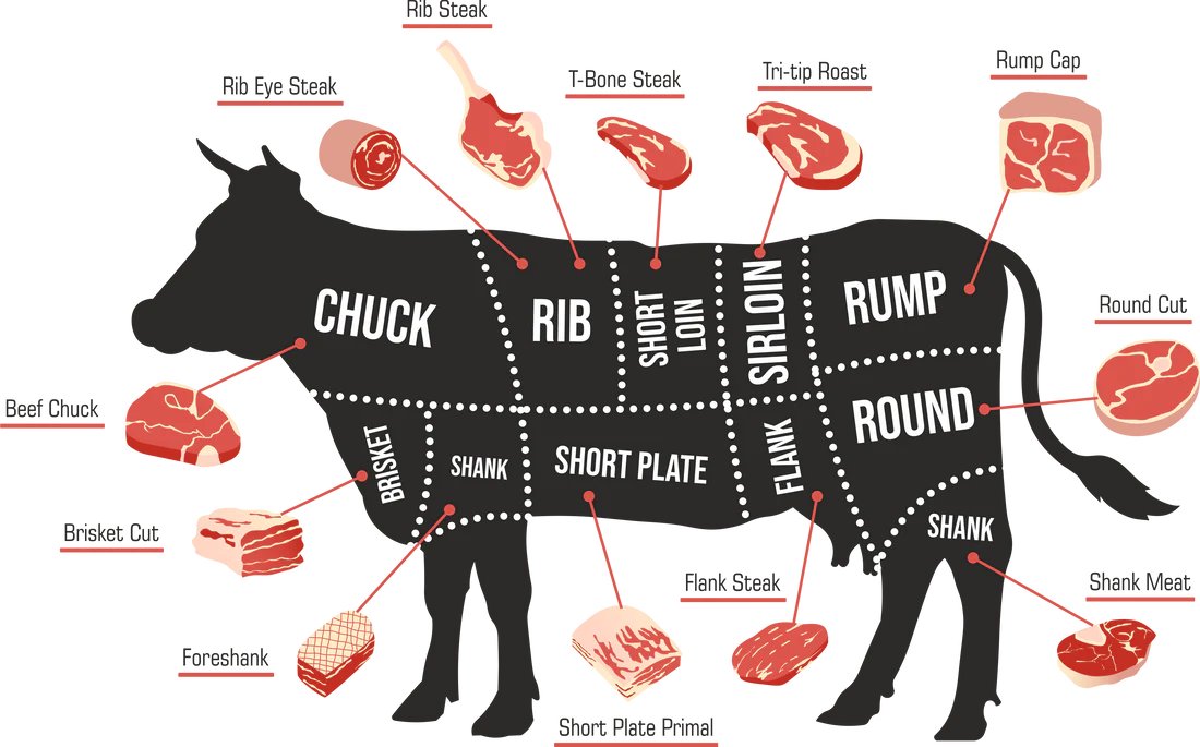 meat chart beef cuts